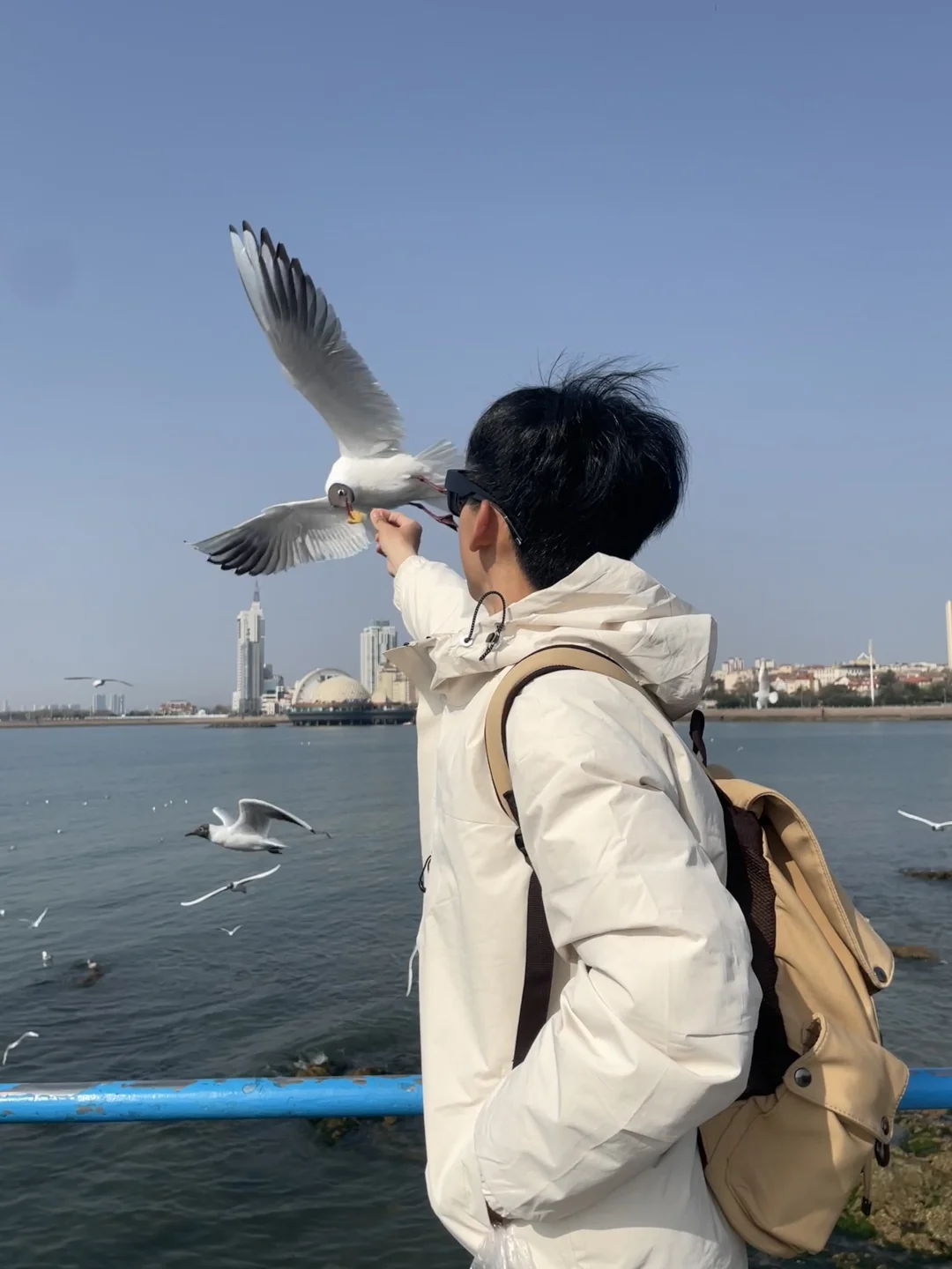 🌊青岛3天2夜懒人攻略✨