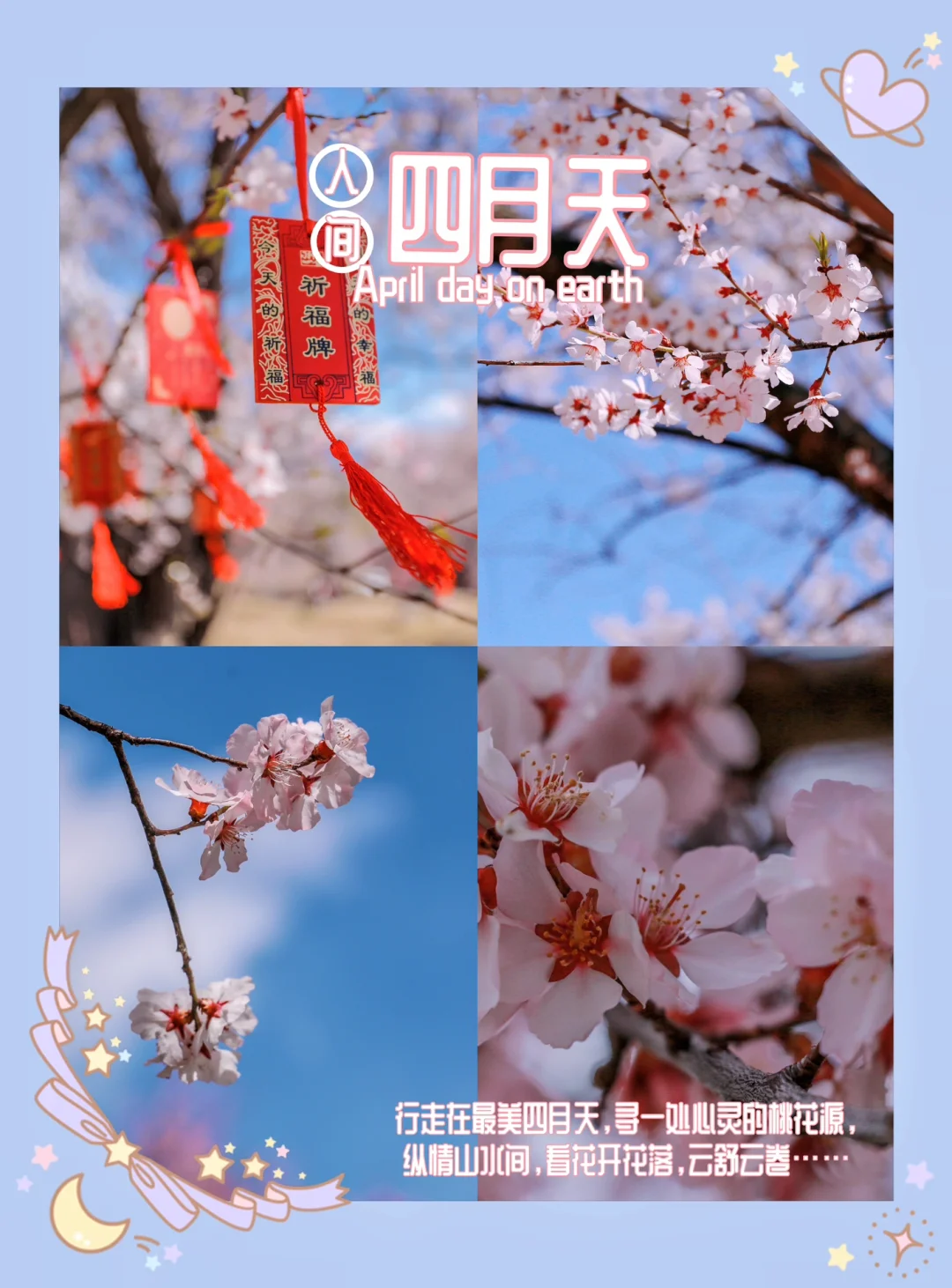 漫步在人间仙境｜四月林芝，不一样的花海盛宴