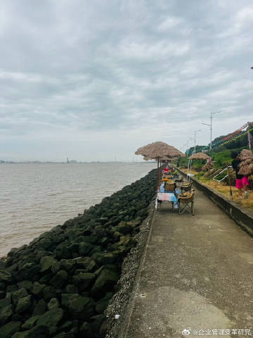 海边，阴天，微风拂面，听滚滚海浪拍岸的声音，小朋友们在捡贝壳，捉螃蟹...