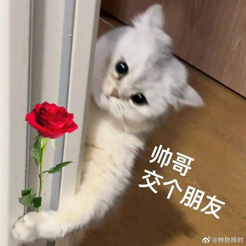 08.28周五【简明收评】

一、一句话看懂今天

英伟达大涨8.74%带不动A股半导体，科技股昨日狂欢后今日全线回调。种业四连板、化工涨价、房地产反弹接棒，资金在板块间快速轮动。午后亚太市场集体跳水，半导体、CRO重挫，成交缩量至2.10万亿。

昨日收评判断“冲高回落几率大”完美兑现；午评判断“下午 ​