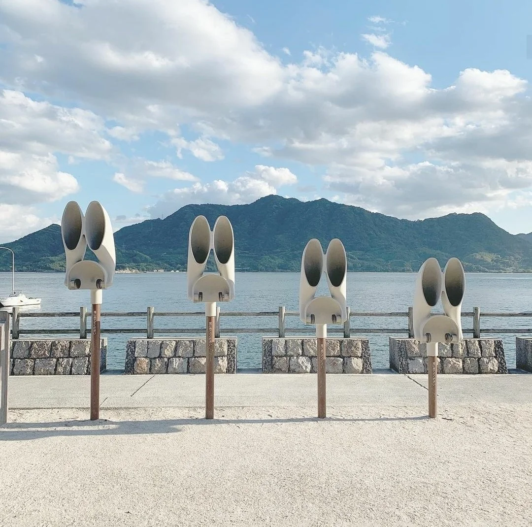 日本广岛县|这个岛上都是可可爱爱的兔兔！