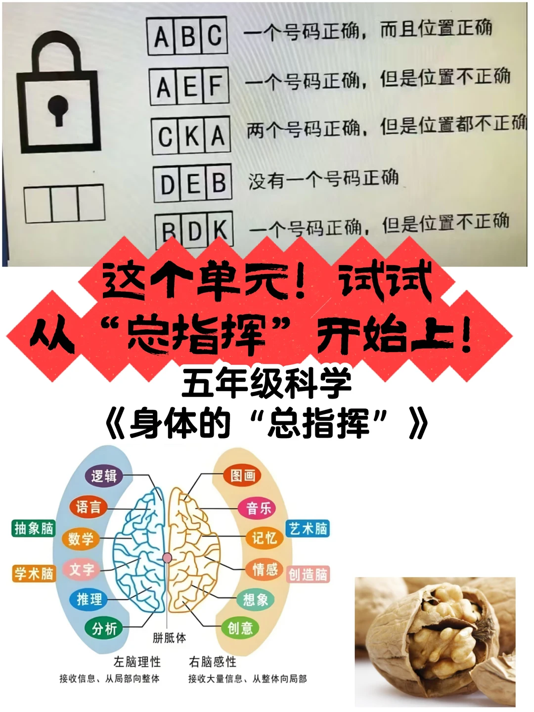 整理单元顺序时竟发现了其中的【医学原理】！