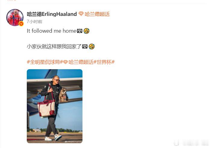 【 据报道，这是哈兰德在世界杯上带回的纪念品，浣熊两只爪子环抱着一只空...