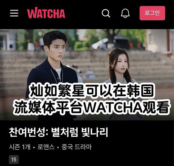 灿如繁星可以在韩国流媒体平台WATCHA观看