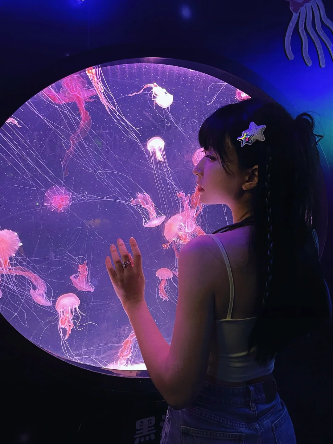 夏天总要去一次海洋馆吧🐬不去来看live图