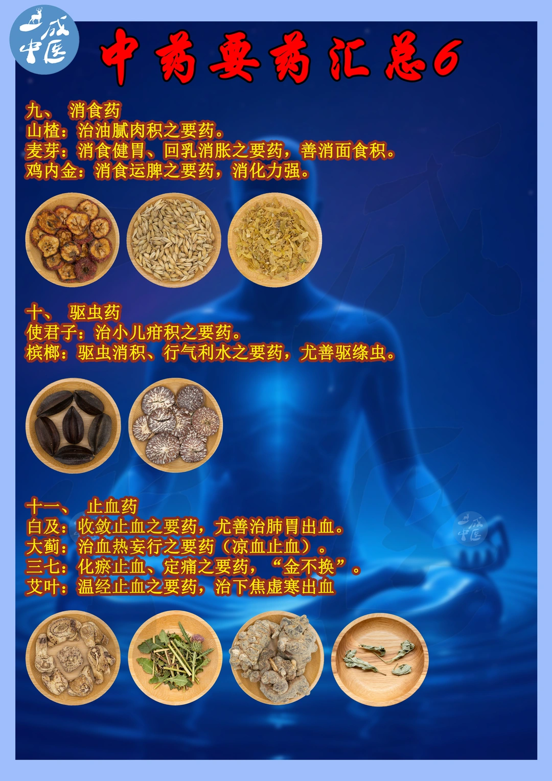 🌿中药“要药”汇总！6.7