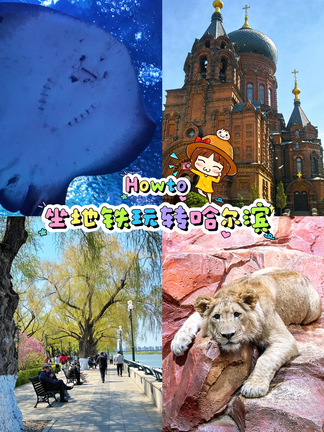 一万种旅行howto🚇坐地铁玩转哈尔滨干货