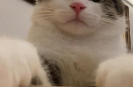 人分手一定很痛苦吧？咪给你介绍一家医院，你也去绝育吧。