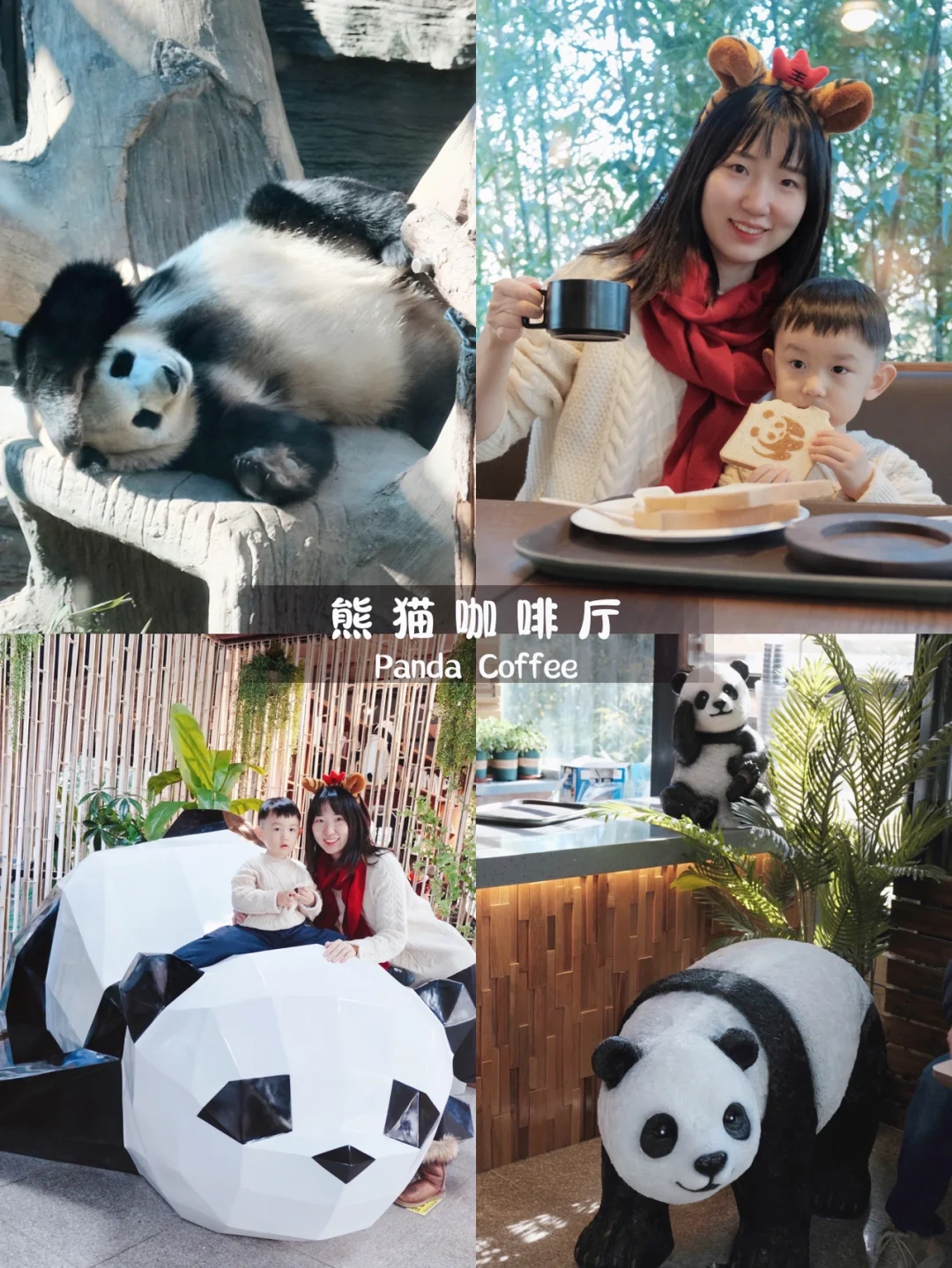 北京新店|看奥运熊猫☑️买🐼周边、喝🐼咖啡