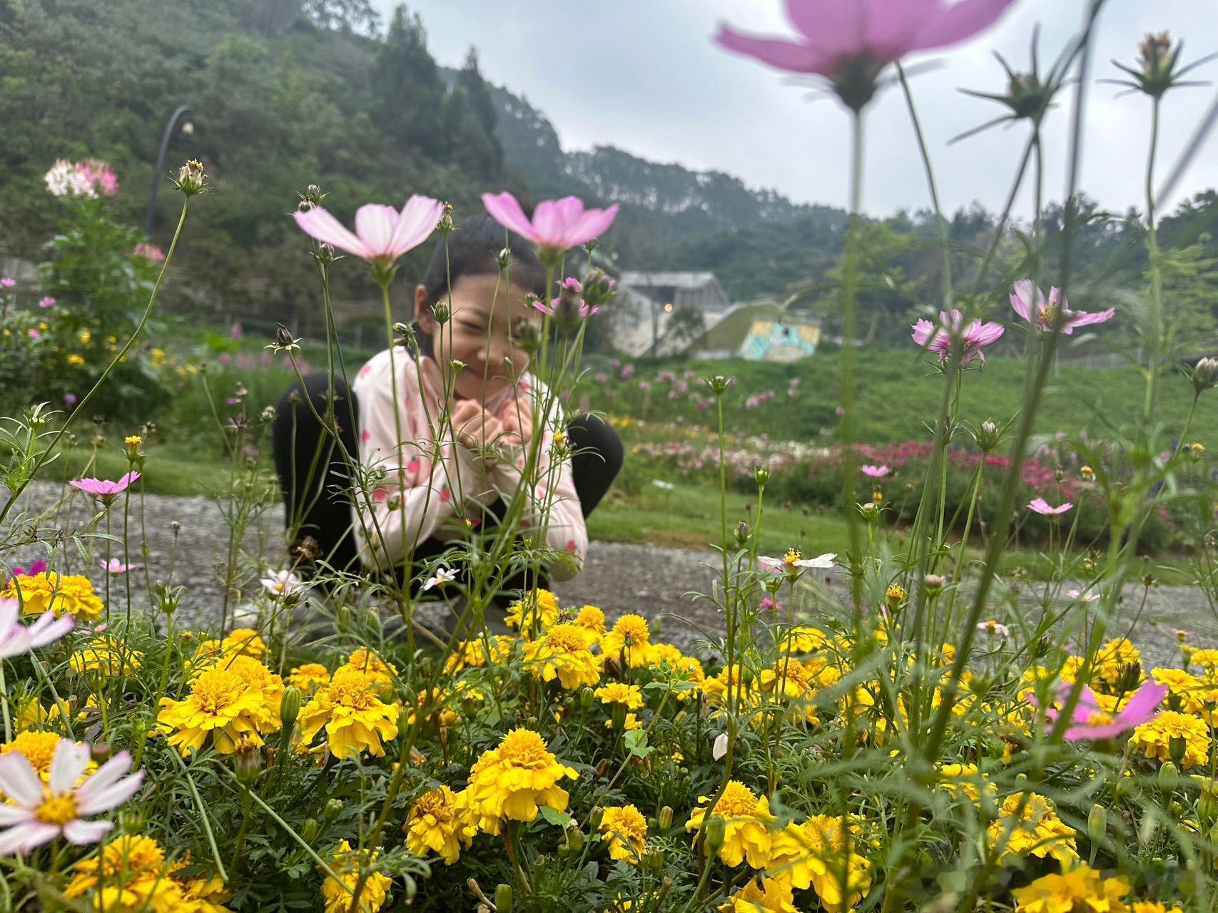 Y7M7D22：今天全家人一起驱车去广州从化玩，小红拉去修理了，租了一辆爸爸喜欢的沃尔沃。到了从化，入住了天人山水酒店，住在山里的丛林帐篷酒店，整个酒店面积很大，还有一个属于自己的生态花园，有游船，有花圃，太美了。（爸爸） ​