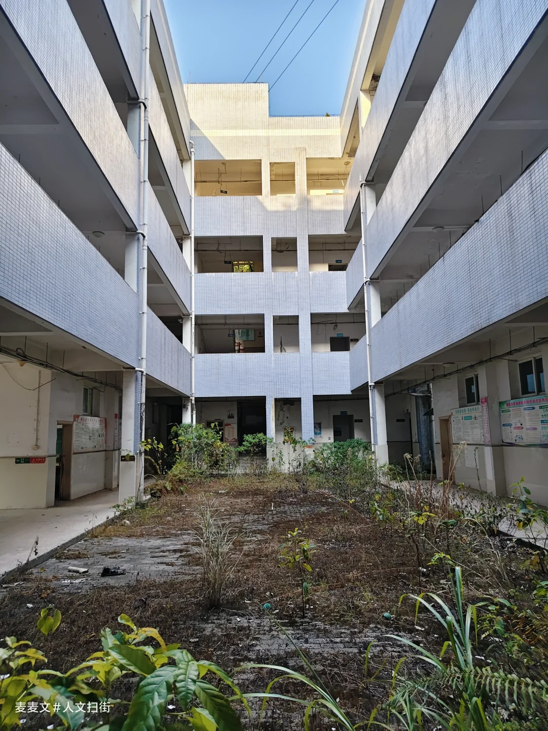 【南岸】仓促退场的校园，即将被绿植吞噬