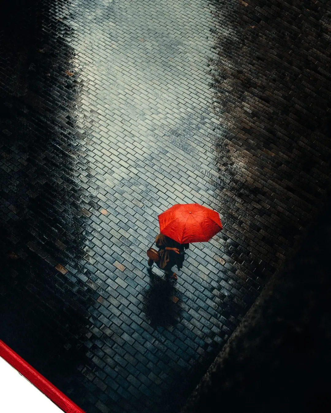 雨天摄影技巧大揭秘|Eren Sarigul作品解析