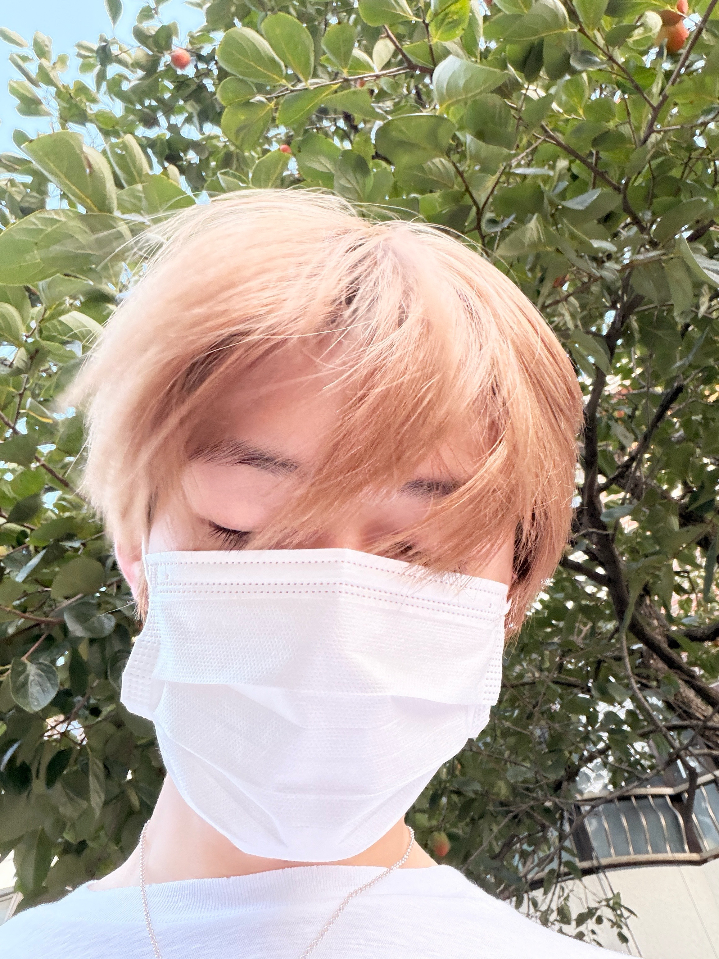 (柿)(柿)ALPHADRIVEONEALD1[超话]  ⠀SANGHYEON郑相炫  ⠀ ​​​