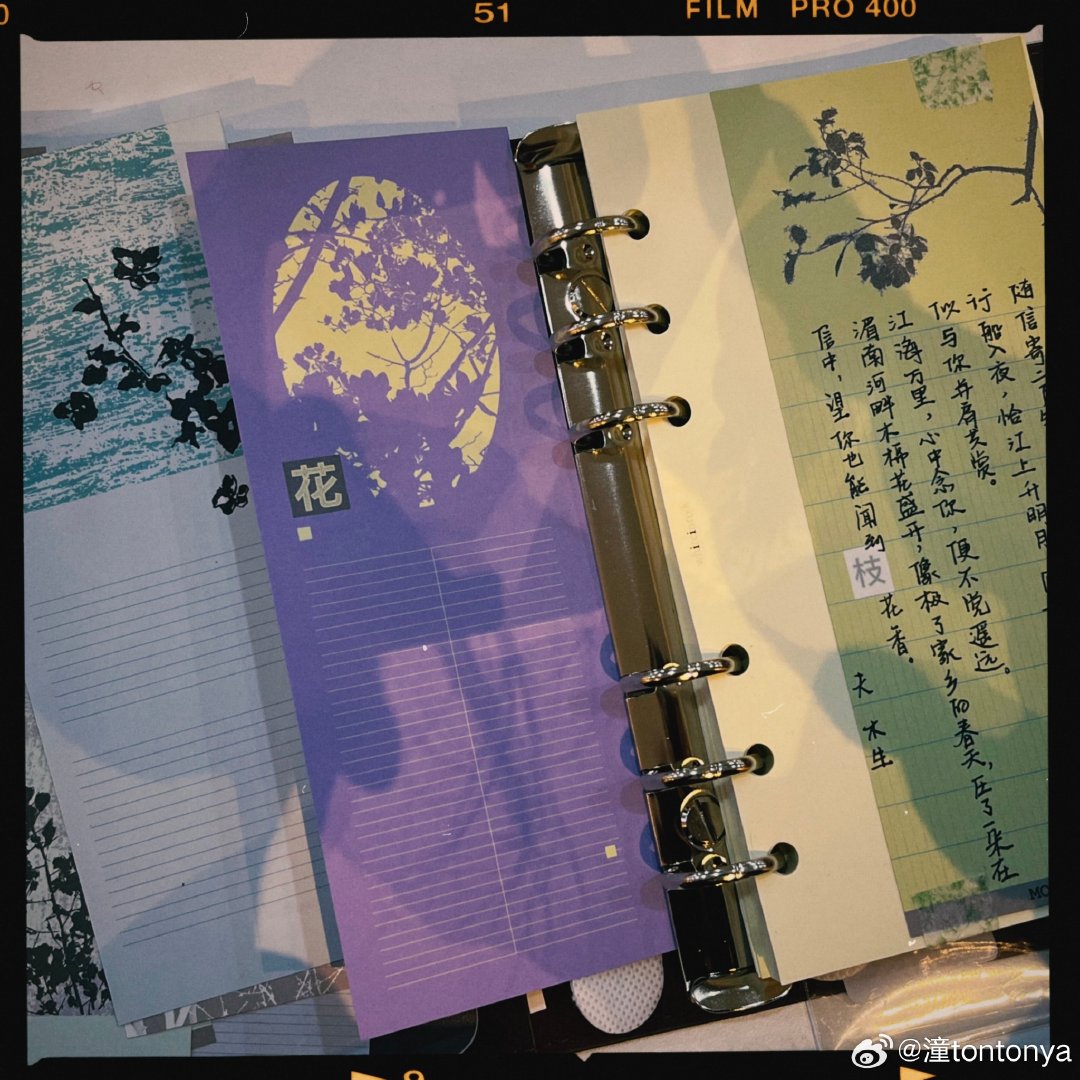 [有票了]最近入了点木色系手帐纸，摘抄信件内容

[园丁]突然觉得思潼好适合木色系呀，大自然的颜色，给人安心、治愈、满满活力的感觉……

#演员李思潼[超话]#  #李思潼给阿嬷的情书##给阿嬷的情书# ​