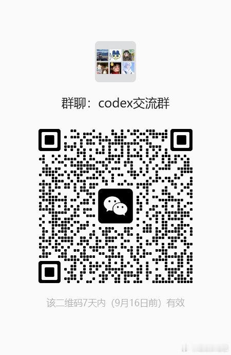 小白 建了个codex交流群，感兴趣的一起交流一下 ​
