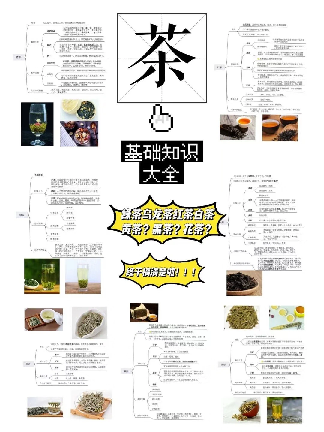 六大茶类基础知识