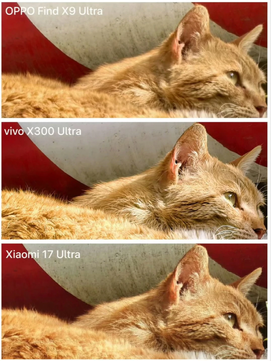 长焦对决！OPPOX9U🆚vivoX300U🆚小米17U