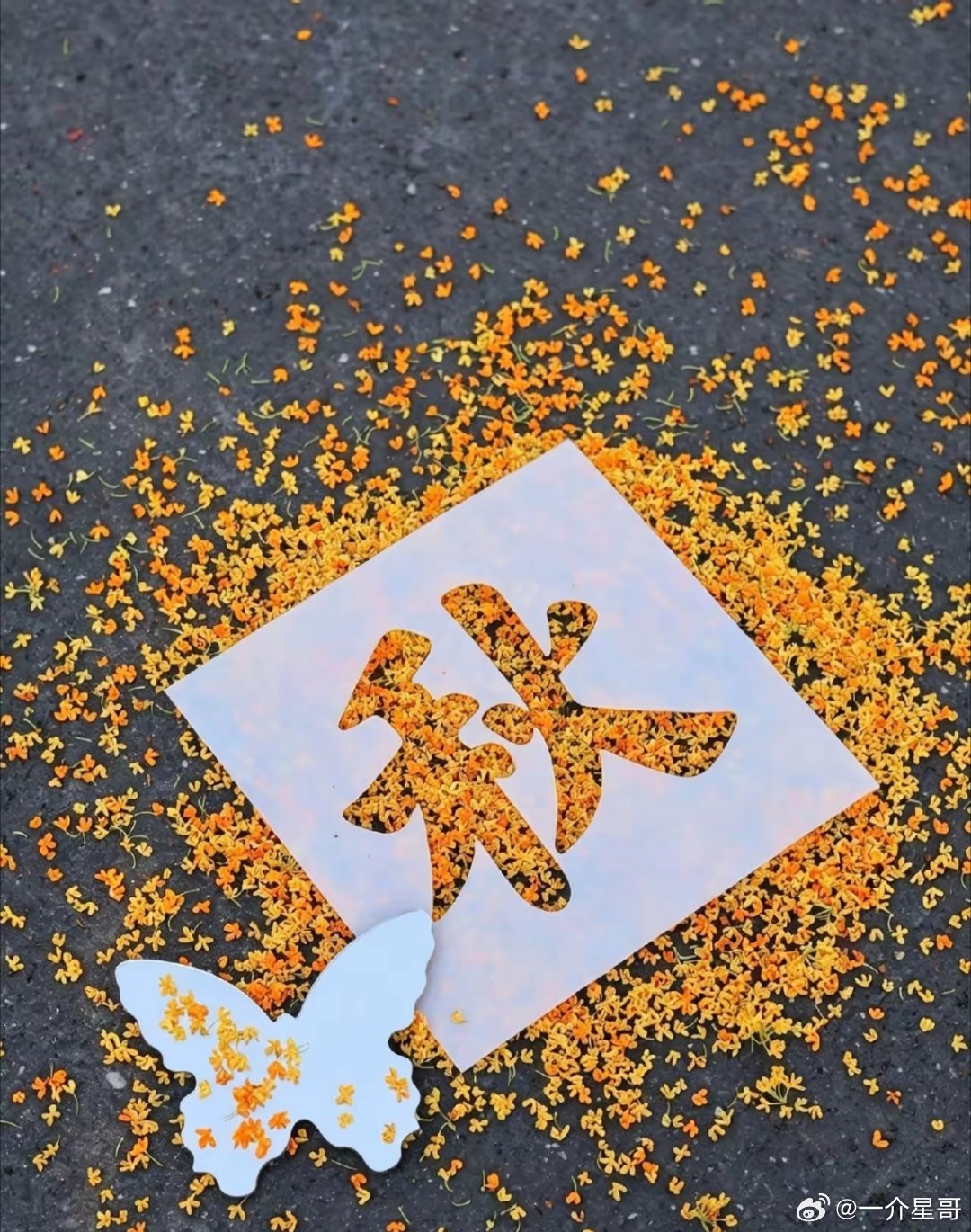人形机器人，可选公司比较多，估计很多人又要左右为难了。 ​