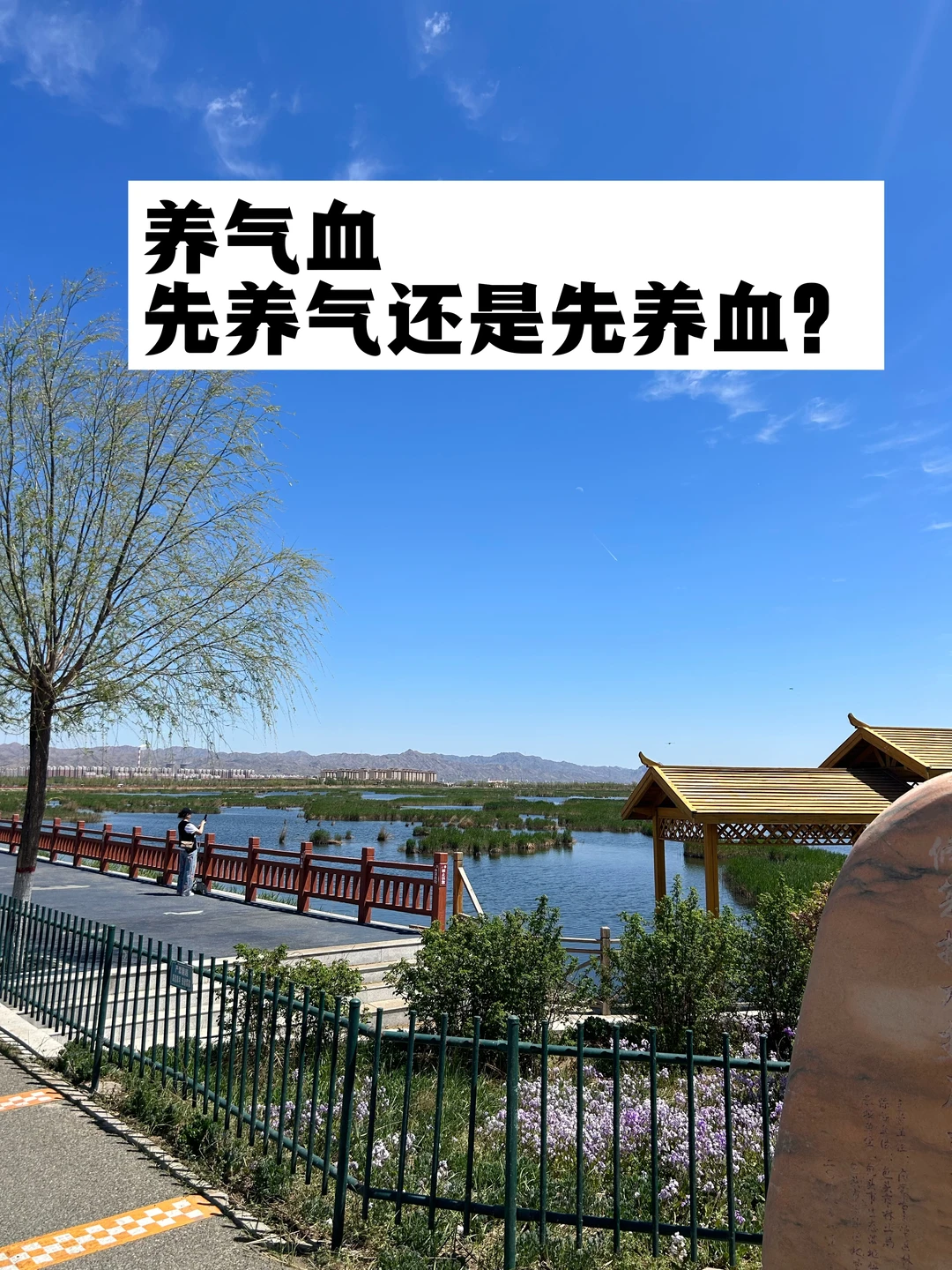 养气血，先养气还是先养血？