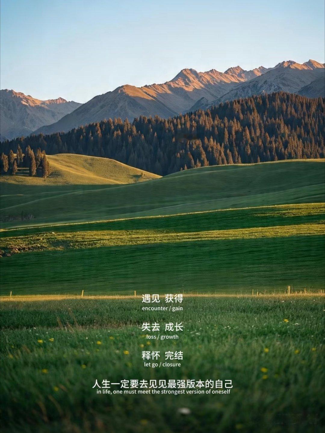 人生要见见最强版本的自己。 ​​​