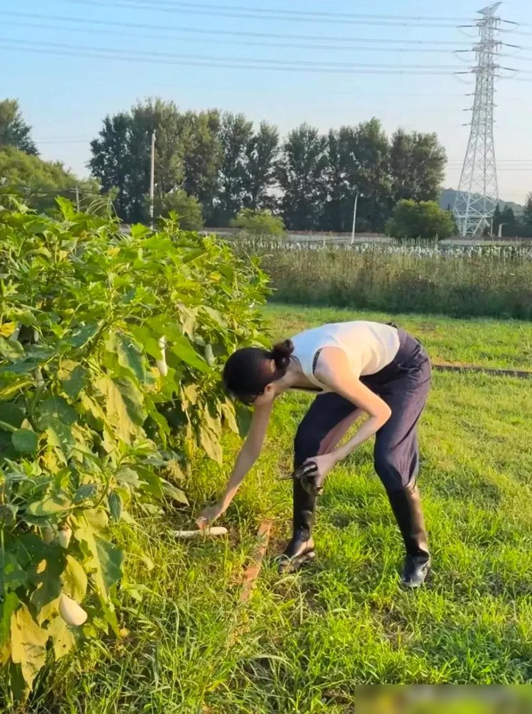 她穿着几十万的高定，蹲在地里拔萝卜。
何穗最近一组照片炸了。别人穿高定走红毯，她穿高定下菜地，泥点子直接崩在裙摆上。网友吵翻了，有人说太奢侈，有人说纯摆拍。但翻她最近的动态，根本不是那回事。
8月她刚跟网友聊妊娠纹，说保留真实状态，不修图。9月晒生日照，第一次公开儿子同框。一个敢把妊娠纹亮出来的