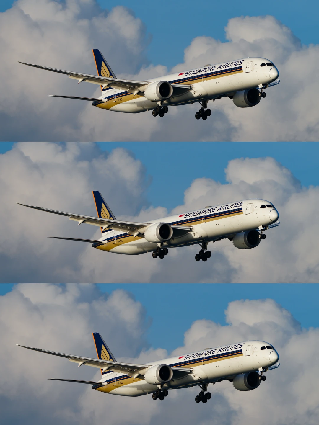 新航28架787-10，全球首发、 最多❗️