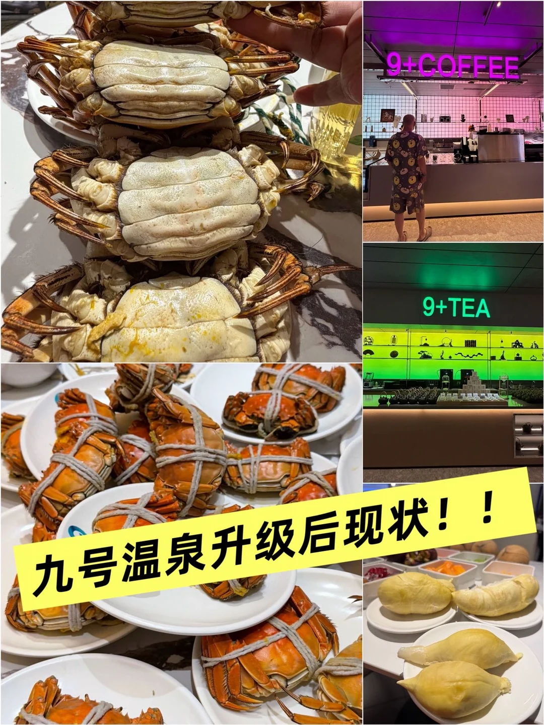 🦀实现蟹榴莲双自由！九号温泉太值了