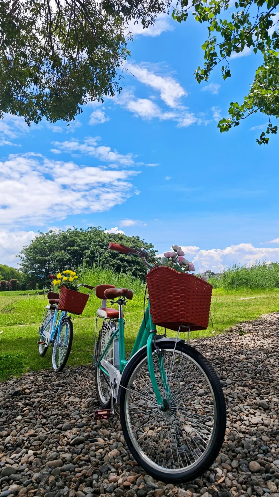 去骑车，去听风的声音🚲