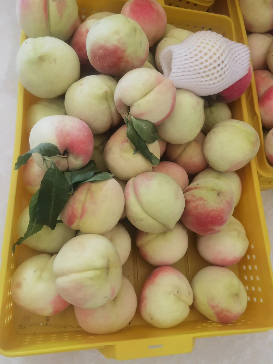 今天的桃。发货都带着桃枭