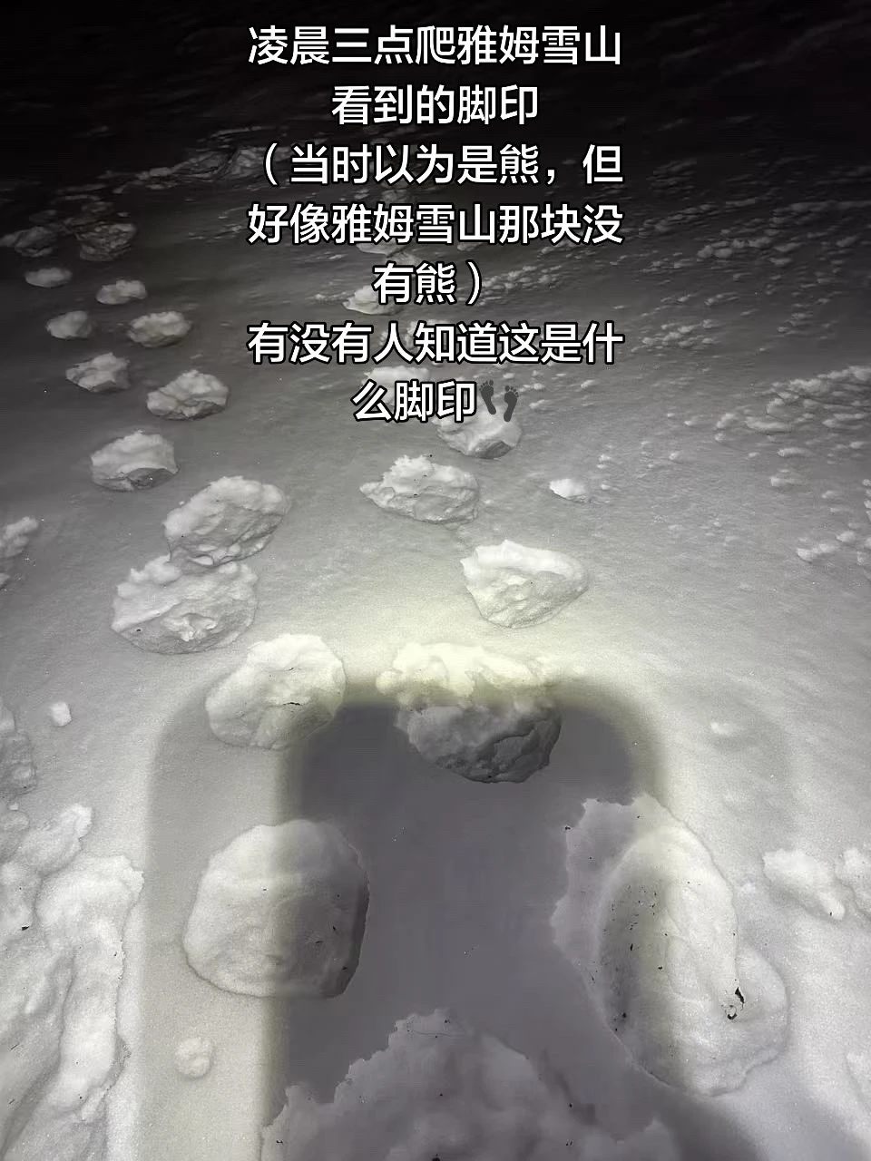爬雪山看到的脚印，有人知道这是什么动物吗？