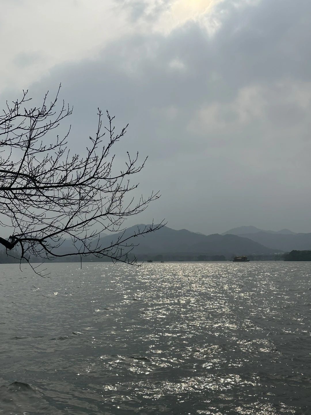 “当你经历过权衡利弊的凉薄，承受过心脉受损的疼痛，平静就会登场，平静是...