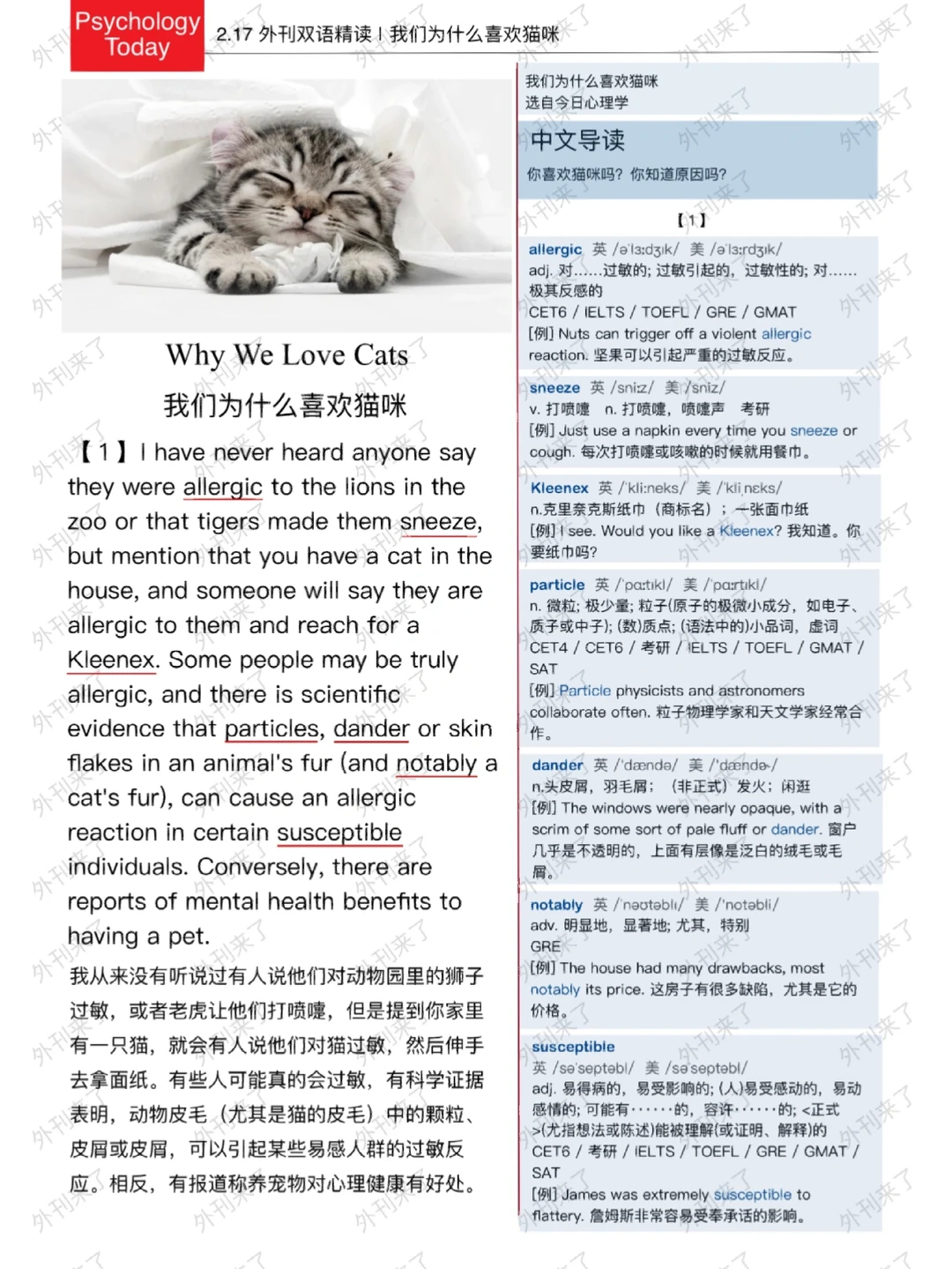 外刊双语精读56｜我们为什么喜欢猫咪🐱