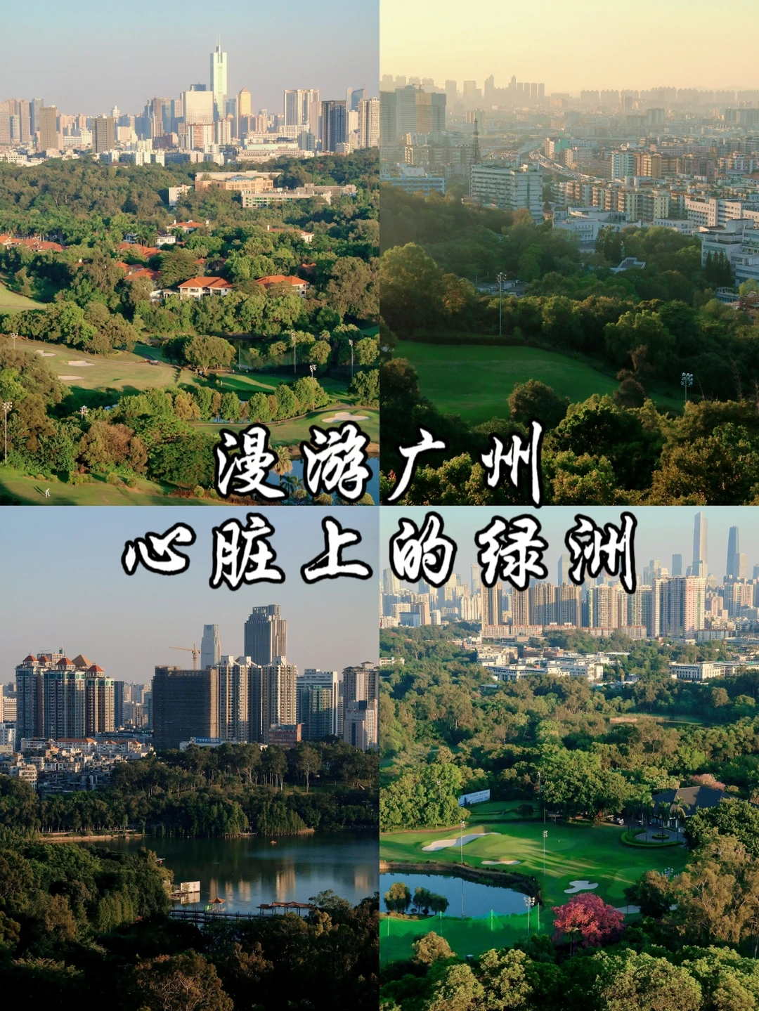 带着网红代餐去冬游|漫游广州心脏上的绿洲