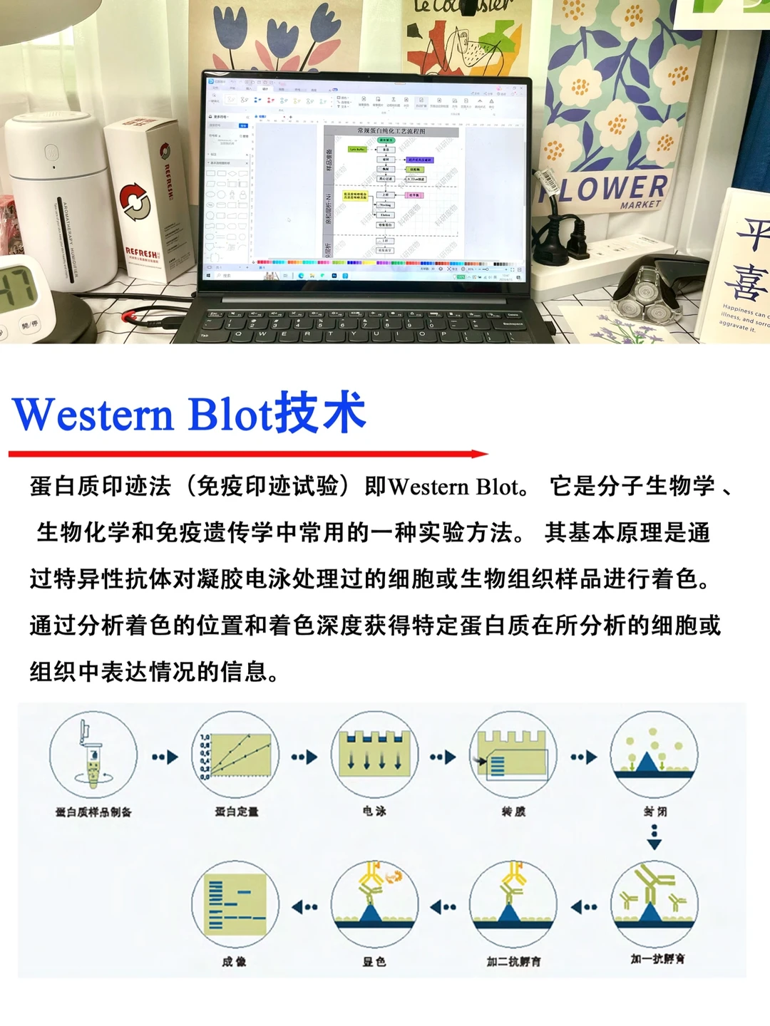 🔥师兄师姐也不一定教的WB技术｜分享