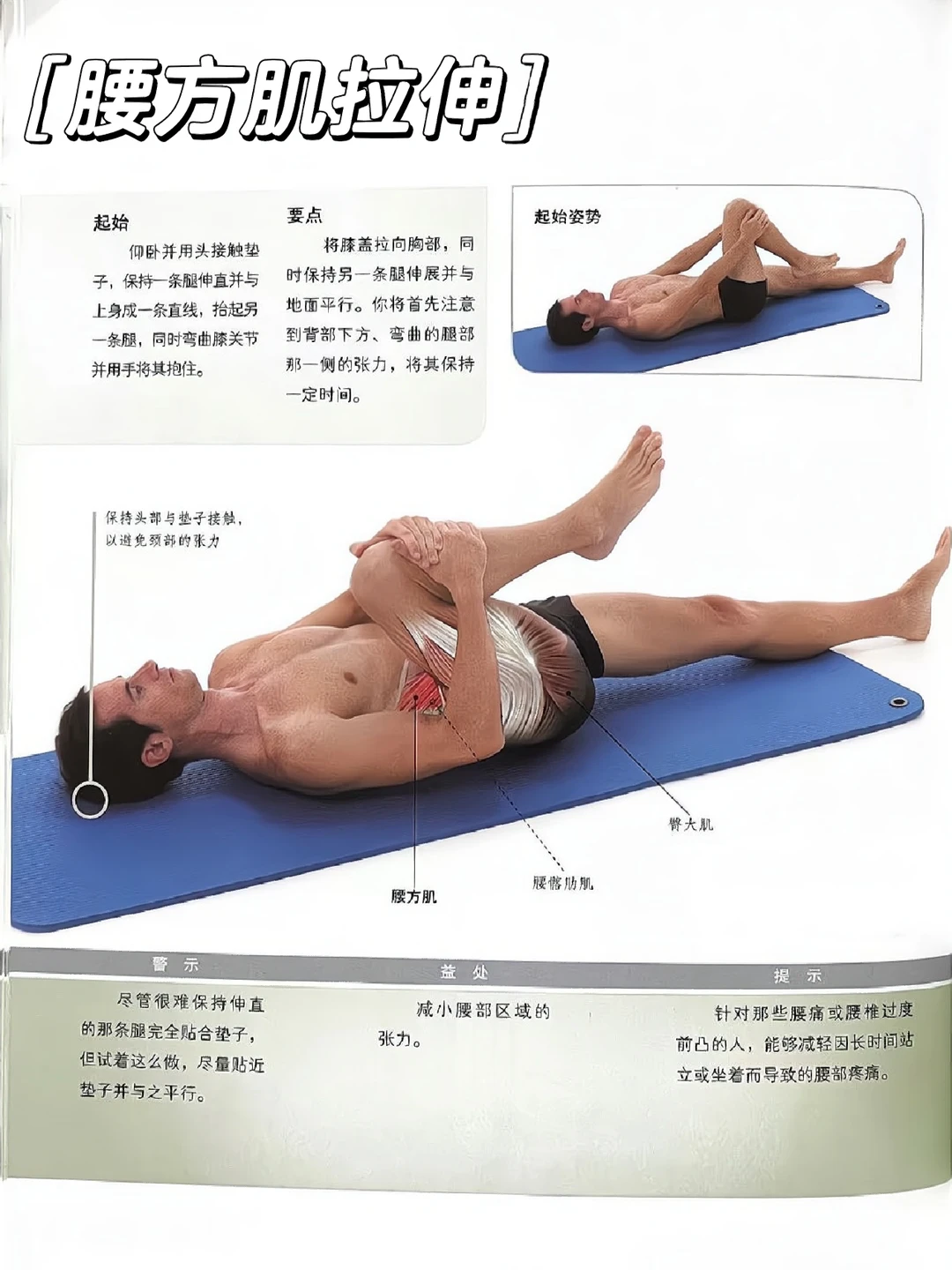 1个动作教你拉伸腰方肌🔥