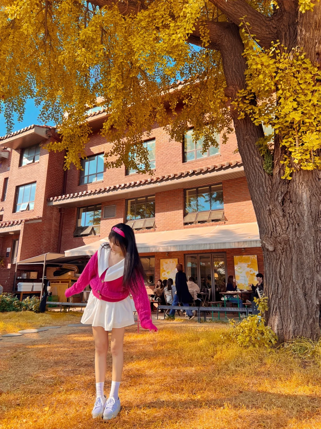 首尔｜秋日银杏浪漫咖啡店—Staff picks🍂