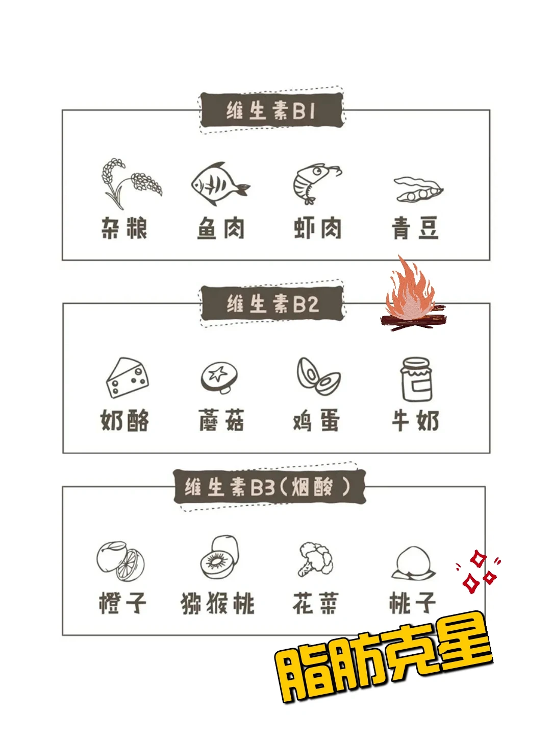 脂肪克星，B族维生素有8位“能手”