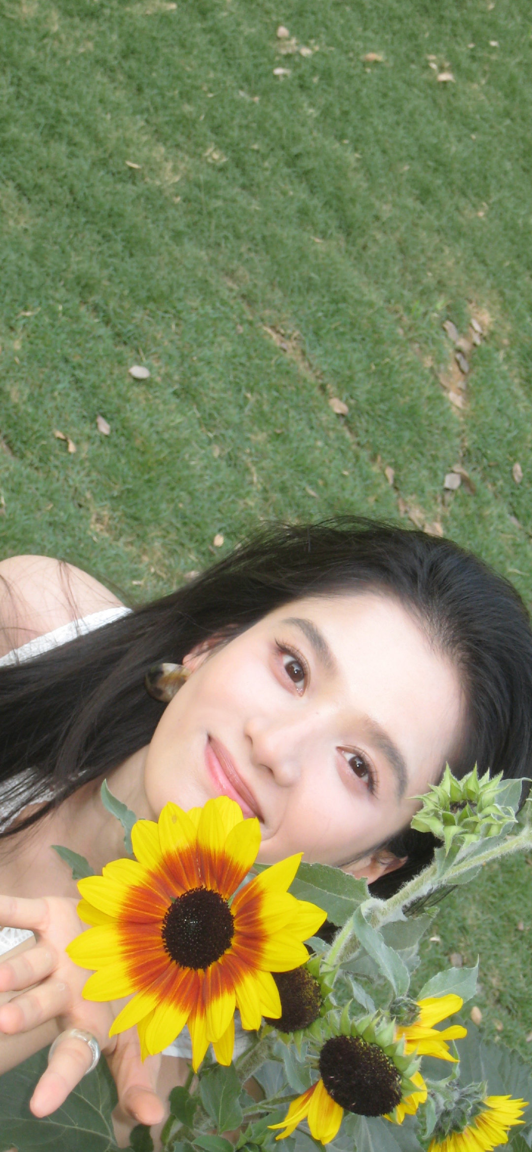 张婧仪 ​
