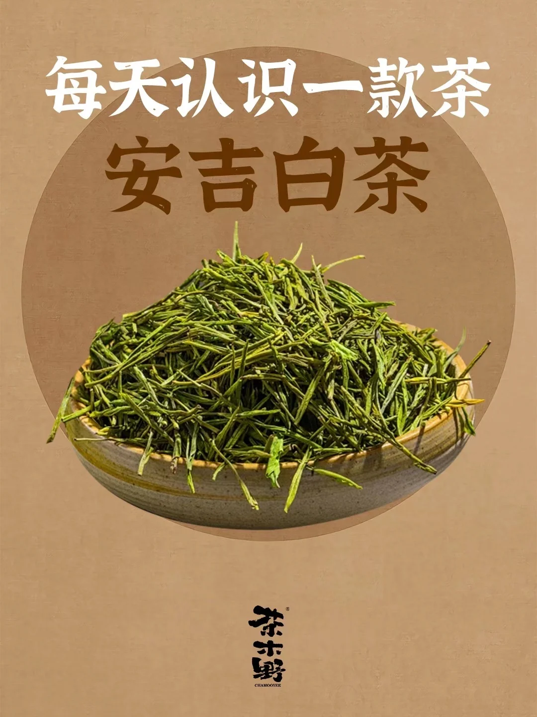 知识分享丨一分钟了解安吉白茶