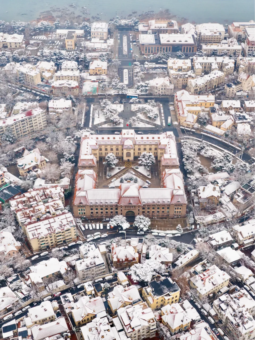 一觉醒来❄️青岛变成了冰岛