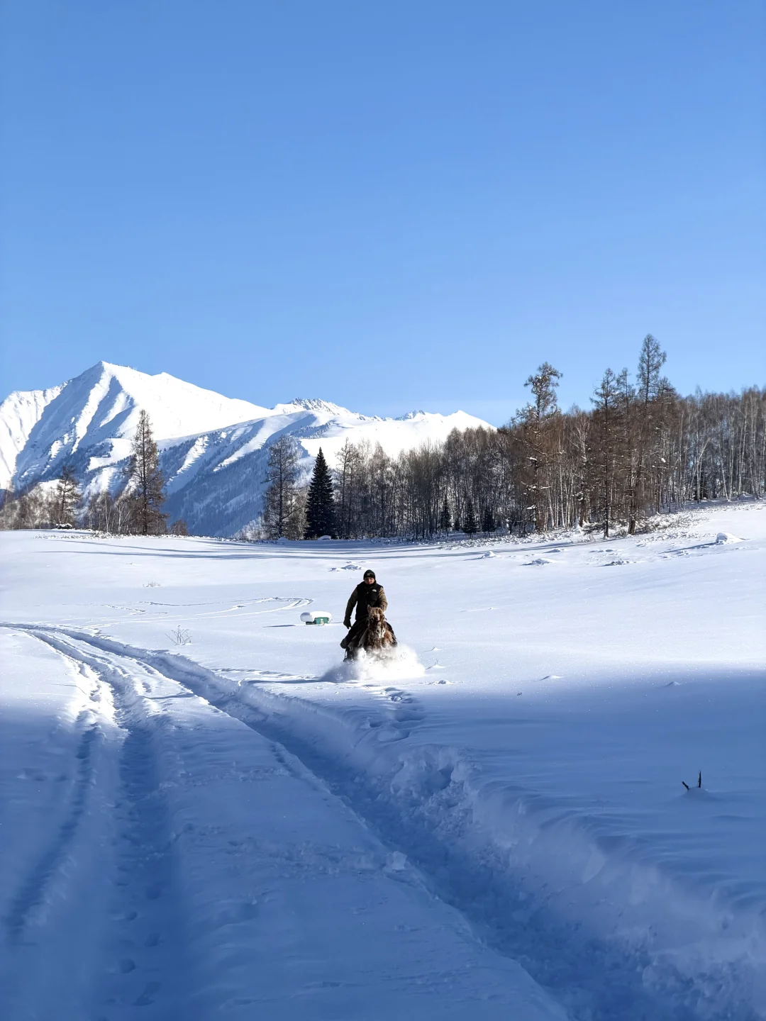 禾木呆了一个月，发现了只有本地人才知道的