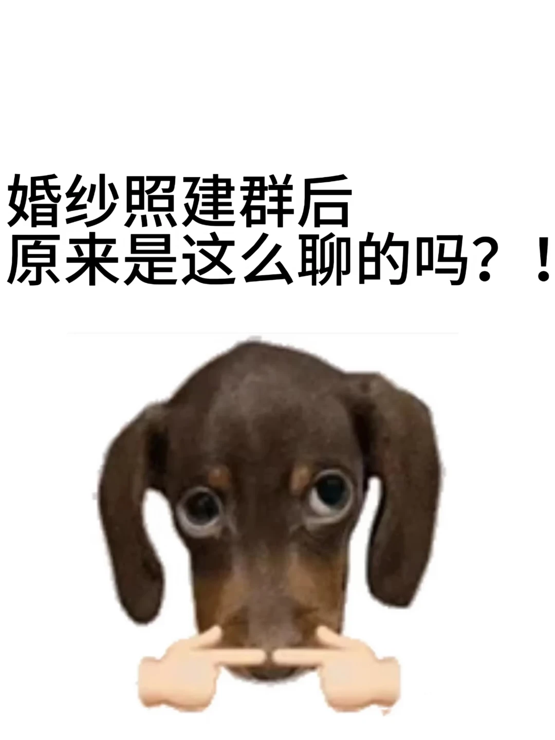 婚纱照沟通群|怎么发？！直接收藏抄作业❗