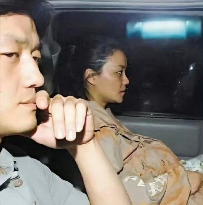 王菲当年和李亚鹏结婚怀孕期间的孕妇照，一点看不出天后的样子，可以说是牺牲太大了 
王菲不承认沈凌模仿的自己 ​