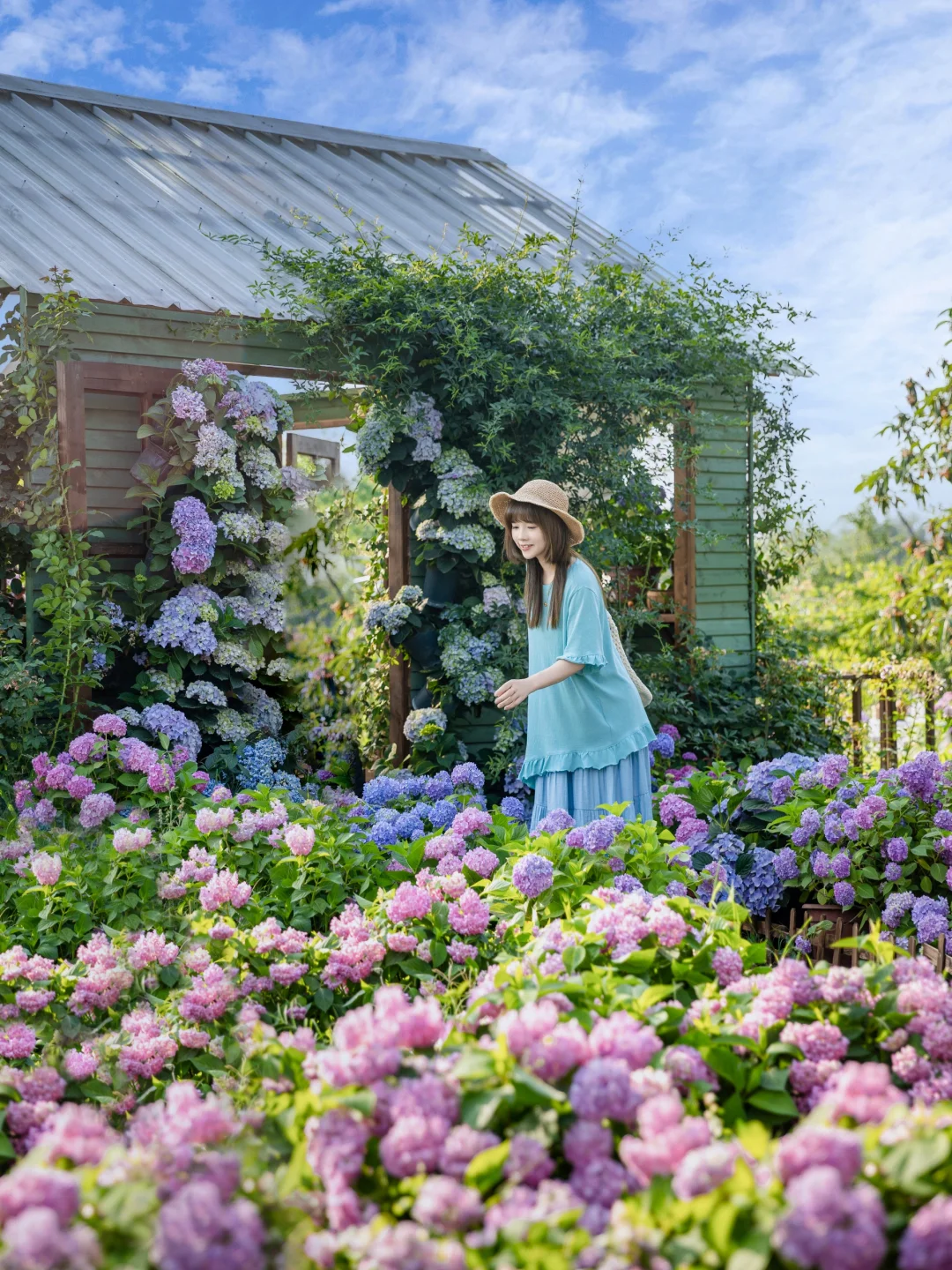 成都周边‖藏在成都的梦幻花海，美哭啦