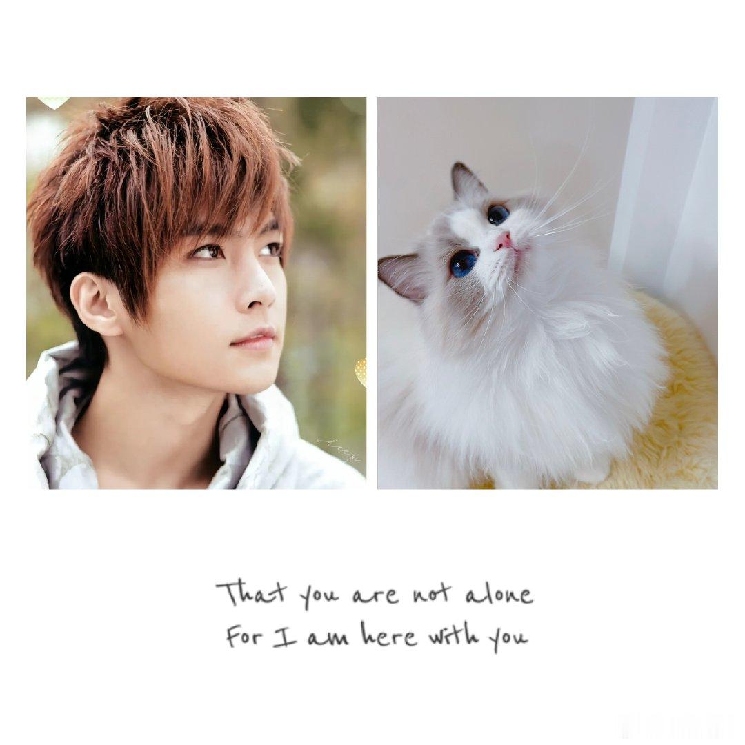 #炎亚纶# 
可爱[奶牛猫] ​