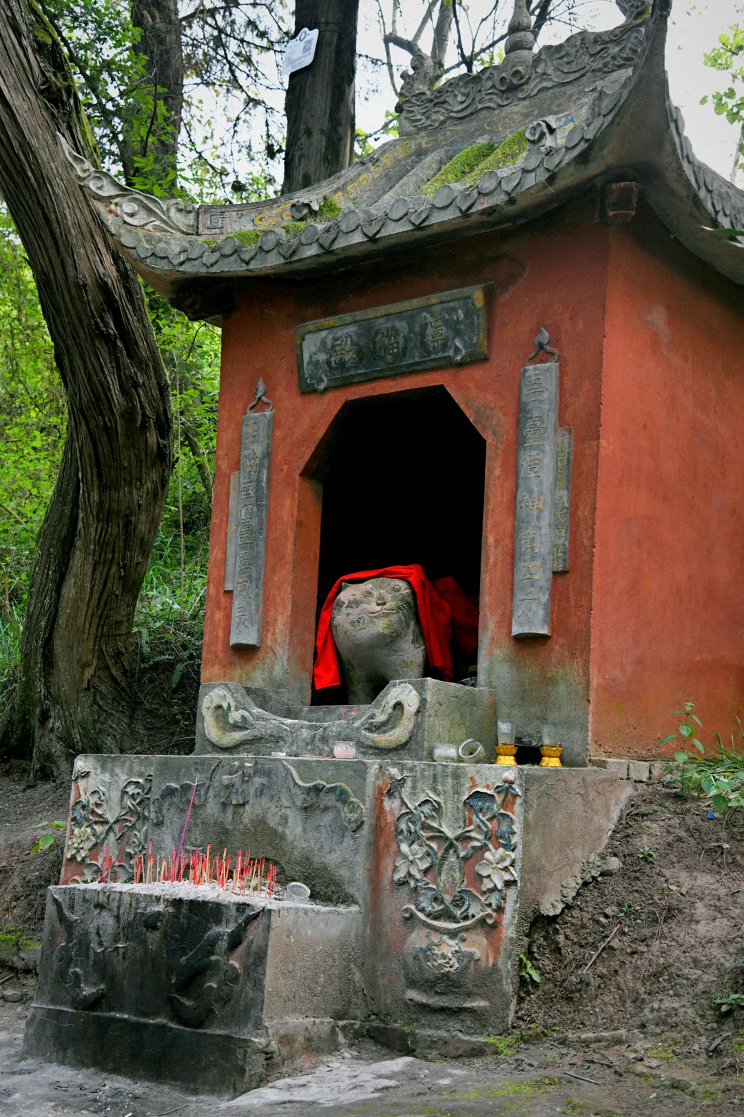 成都2h，动漫同款猫猫庙，出片徒步轻松解锁