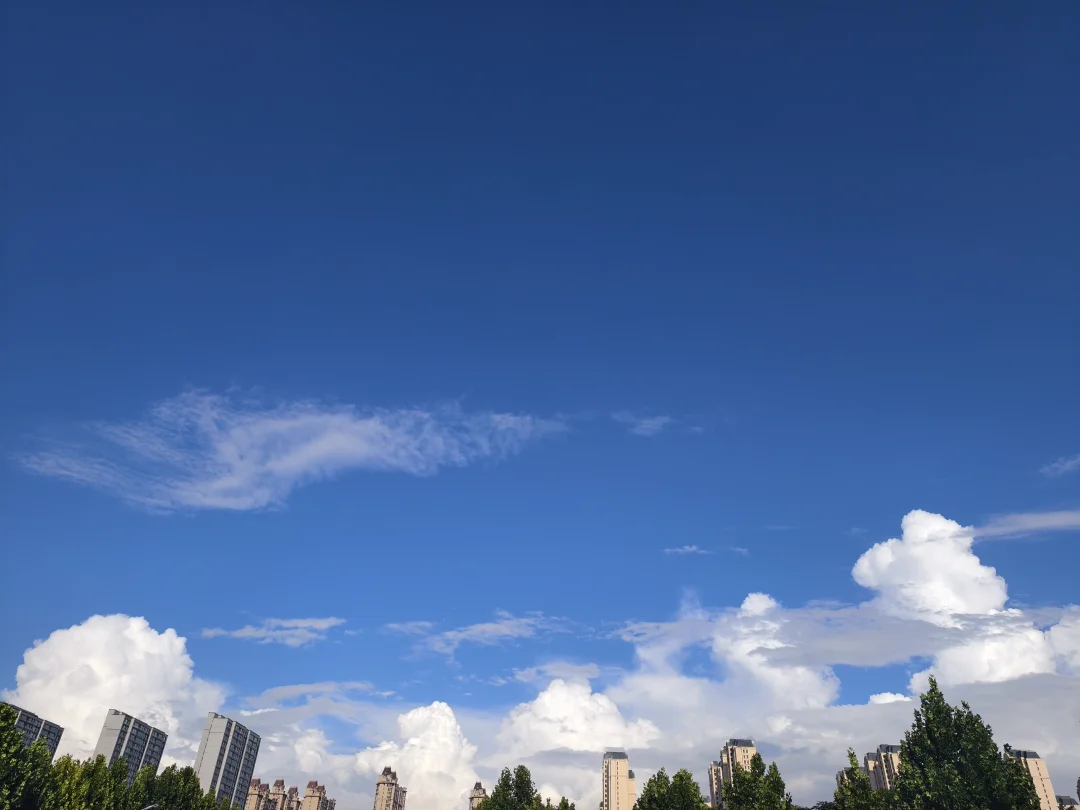 看看你们的天空