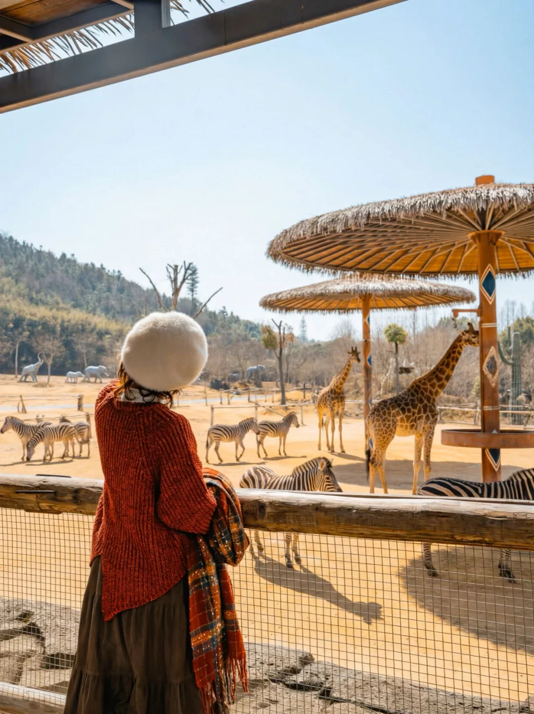 迄今为止，去过最离谱的动物园！