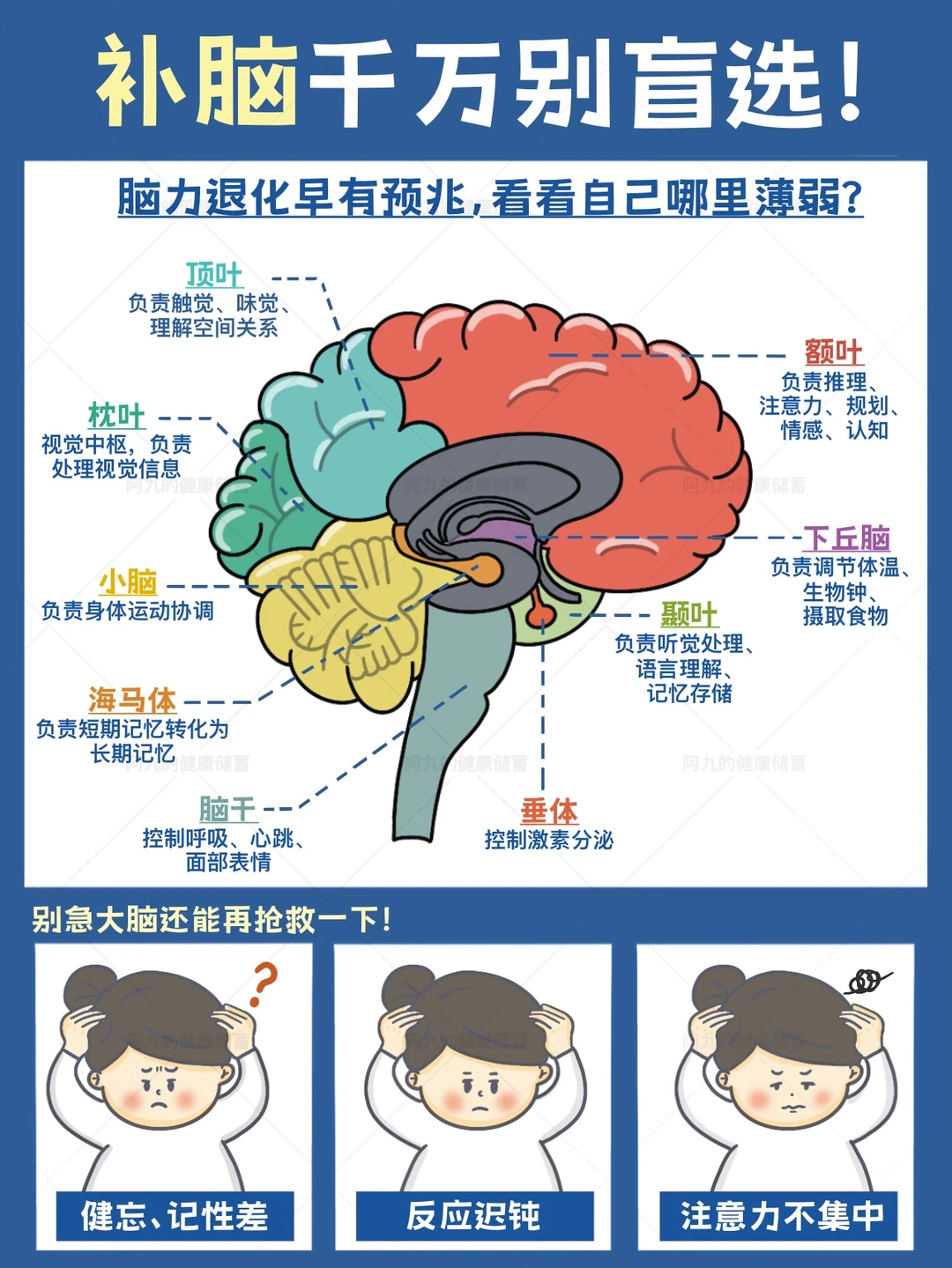 脑营养别乱补！！无痛重启大脑秘籍🈶️