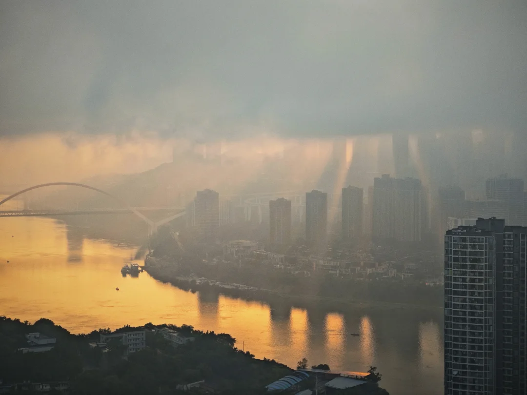 不来的原因：野生博主当出了条件性焦虑症